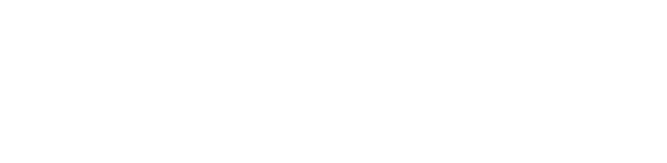 BANDELIN electronic GmbH & Co. KG 品牌 Logo